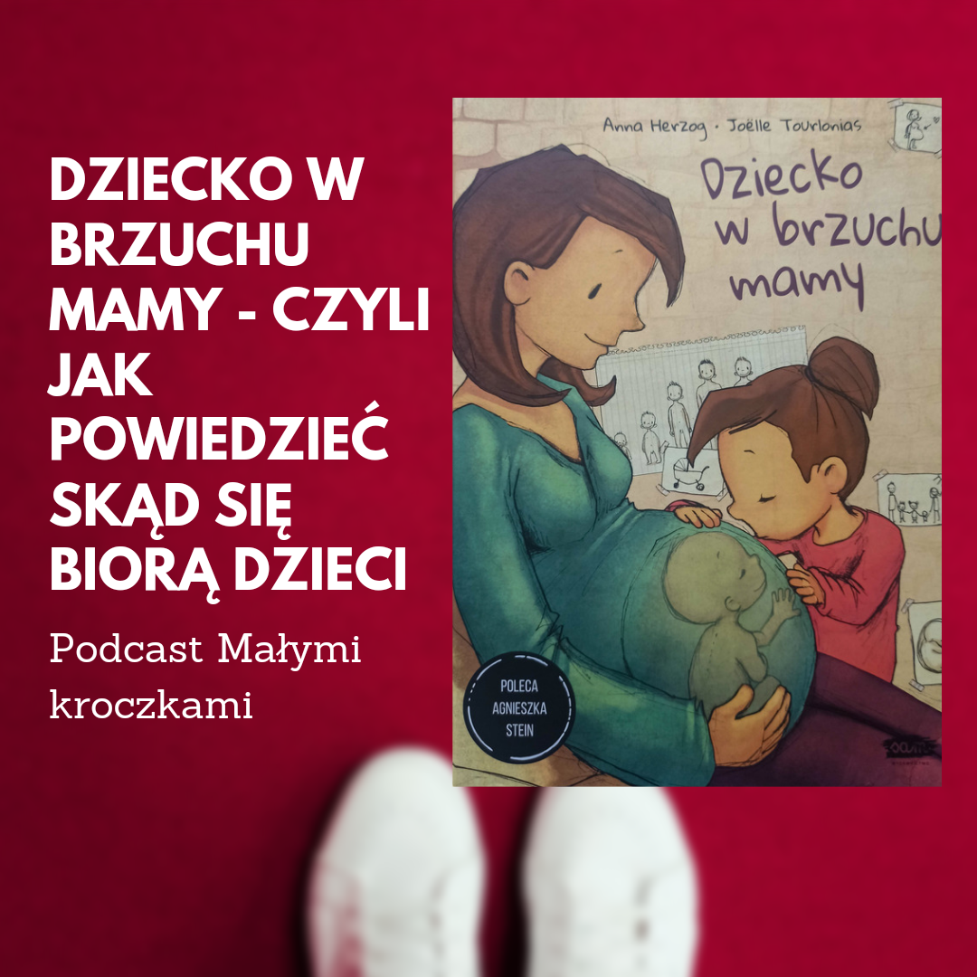 Dziecko W Brzuchu Mamy Czyli Jak Powiedzieć Skąd Się Biorą Dzieci Małymi Kroczkami 7960